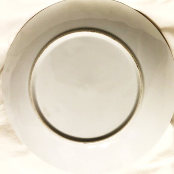 Vintage 1995 Dalmation Life Cycle Plate 💸 - Picture 4 of 4